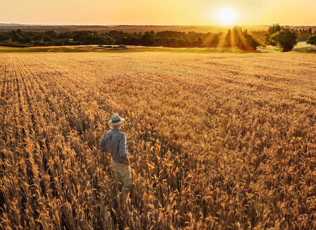 Insurance by Industry - Farmer Standing in a Field of Wheat at Dusk